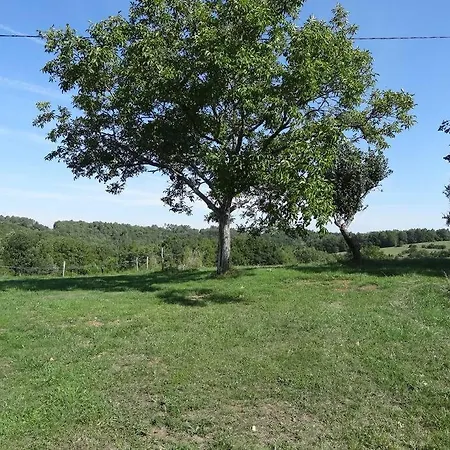 En Perigord Proche De Lascaux بيت للعطل